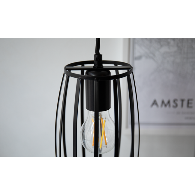Industrial pendant lamp Maya in matte-black open cage frame