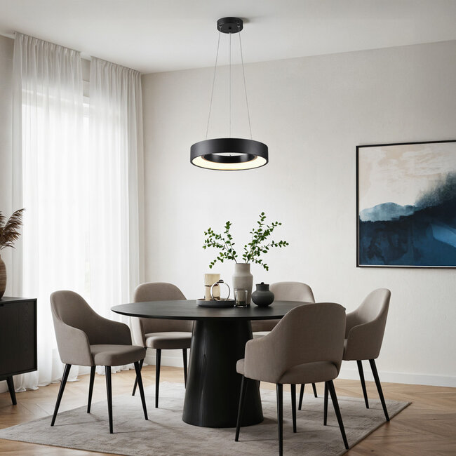 Modern pendant lamp Roundy in matte-black metal