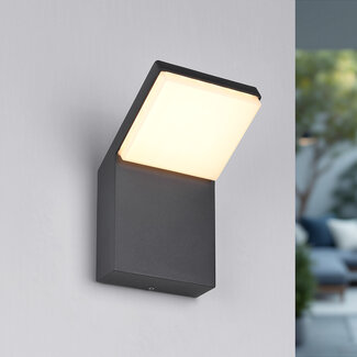 Modern Outdoor Wall Light - Giraffe