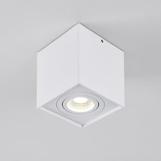 Carl designer spotlight, adjustable, white