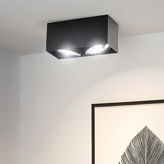 AR111 2-fold spotlight Brooklyn - black