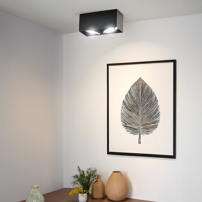 AR111 2-fold spotlight Brooklyn - black