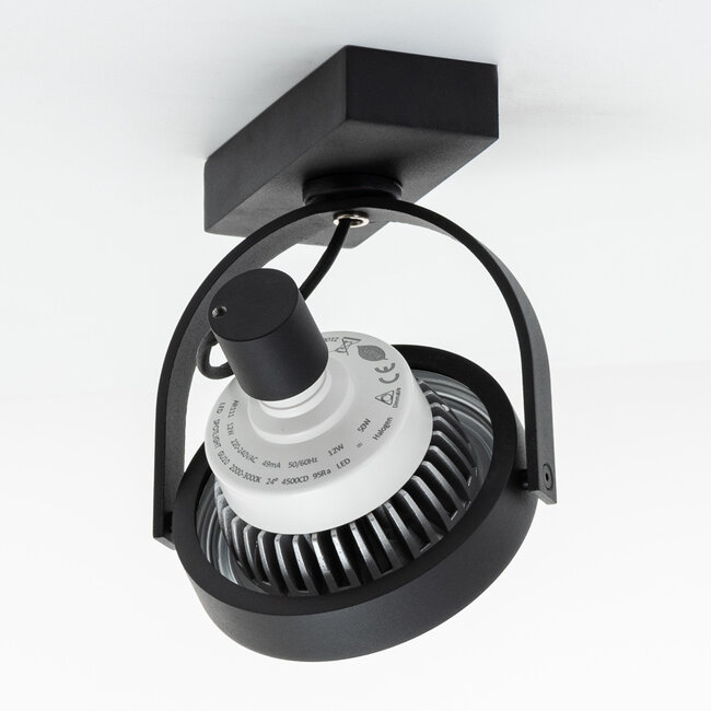 AR111 Spotlight Skylar - black