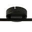 Ceiling lamp Julia 2-light in black