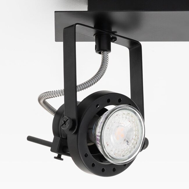 Designer 2-light ceiling lamp Dayton, adjustable black