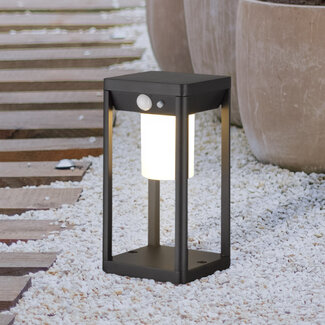Solar outdoor floor lamp Sparky with sensor - black with integrated LED