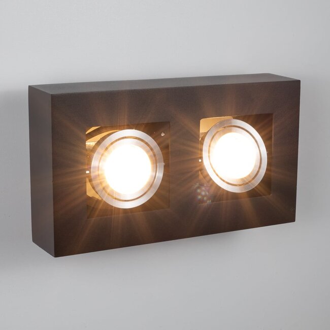 Luxurious 2-light black surface mounted spot - Benny