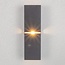 Modern wall lamp Zev in black and gold