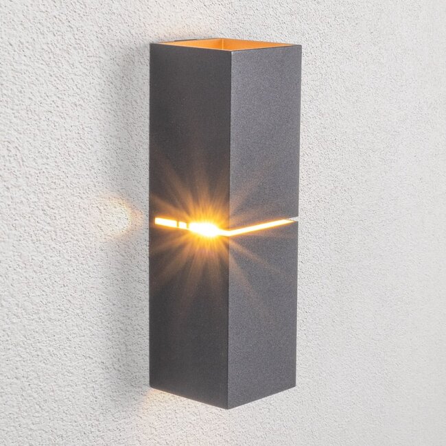 Modern wall lamp Zev in black and gold