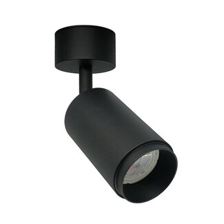 Modern matt black ceiling spot - Kay