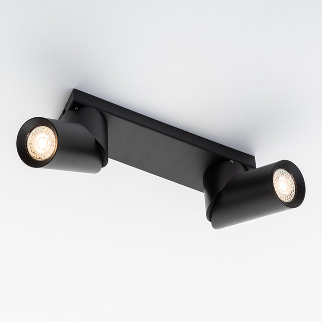 2-light industrial ceiling light Libby - black
