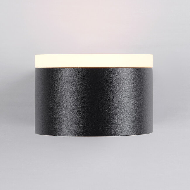 Feline outdoor wall light with integrated LEDs - Black