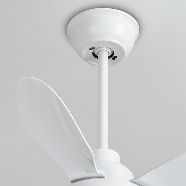 Ceiling fan Merel white with remote control including LED light