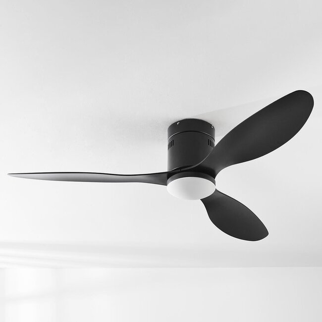 Ceiling fan with light, three blades and Black - Zazoe