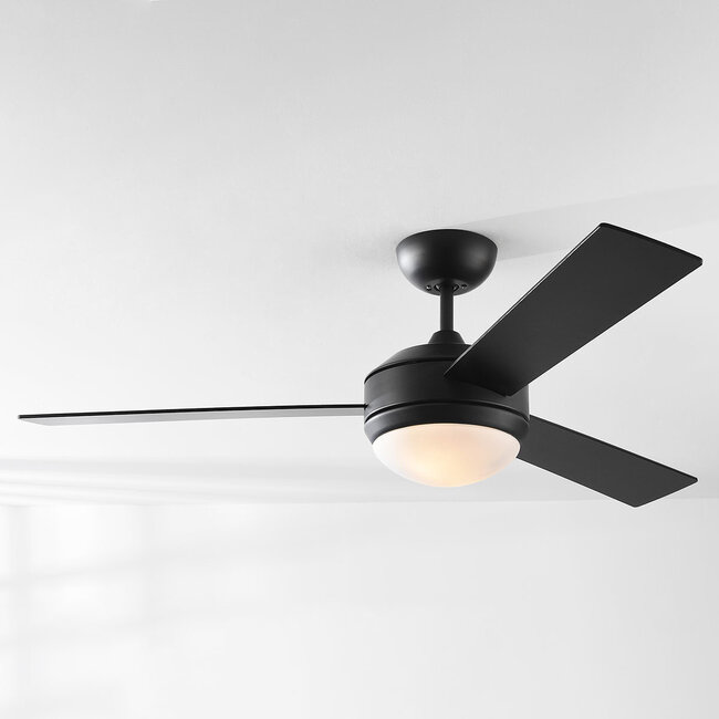 Modern ceiling fan Coco 2-light - black E27