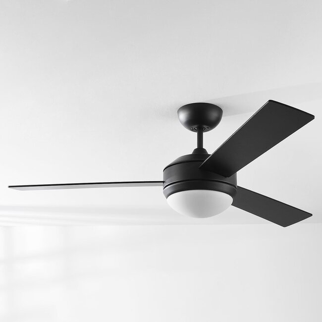 Modern ceiling fan Coco 2-light - black E27