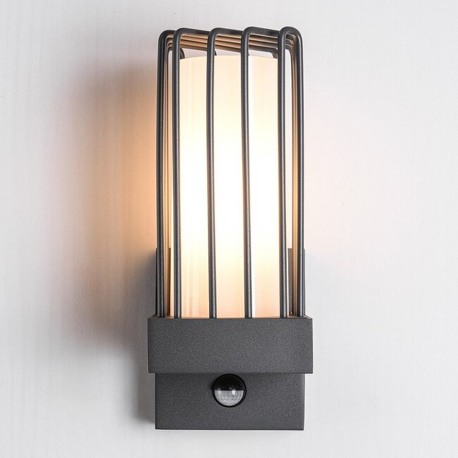 Industrial dark grey wall lamp with sensor - Tijn