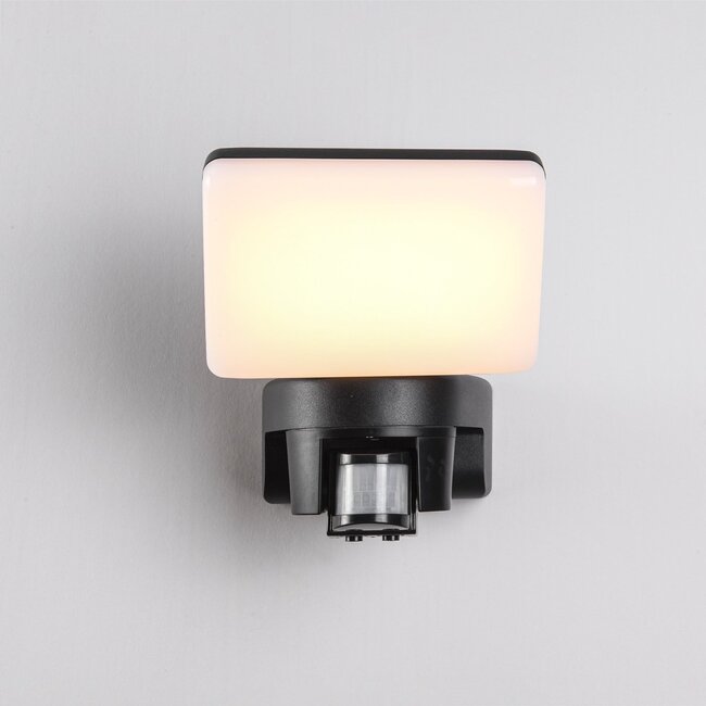 Outdoor wall light Dexter with adjustable light angle and sensor - black