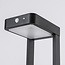 Solar outdoor floor lamp Pelle with sensor - black with integrated LED