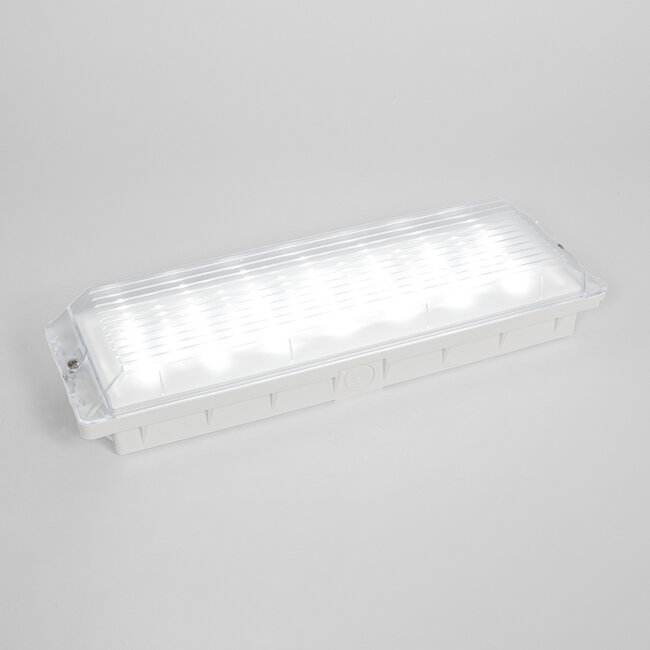 Emergency lighting with transparent cover - LX001