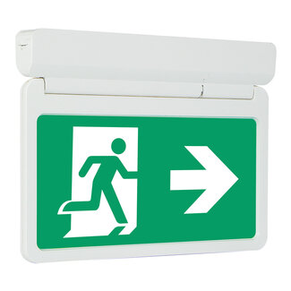 Adjustable emergency lighting with five pictograms - LX003