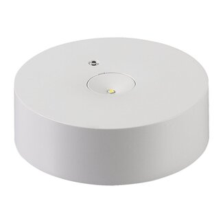 Surface-mounted emergency spotlight with two lenses - LX007