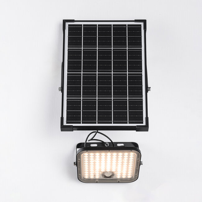30W solar LED outdoor floodlight with sensor - Nick