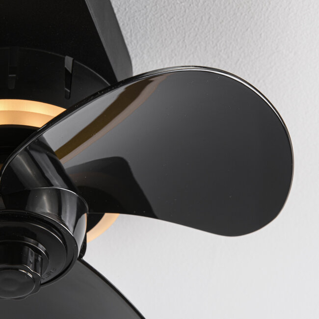 Lichi ceiling fan with LEDs and remote control