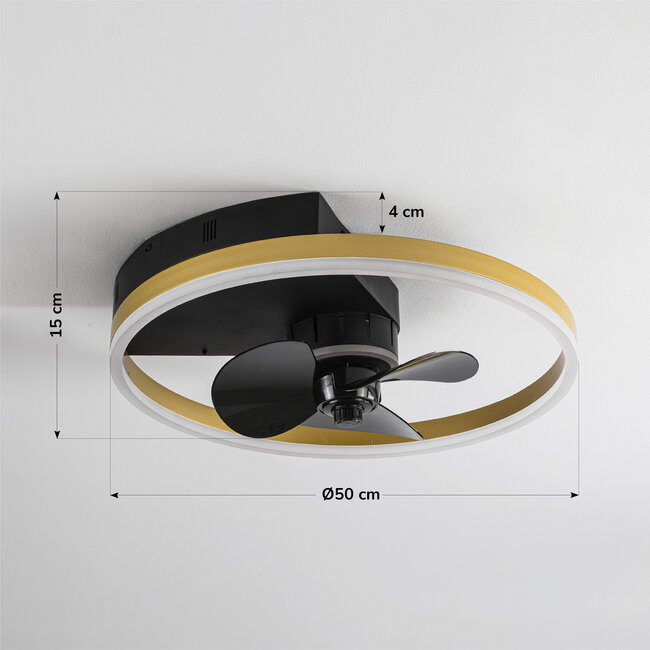 Lichi ceiling fan with LEDs and remote control