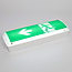 5W surface-mounted emergency lighting with 10 LEDs, DP-3