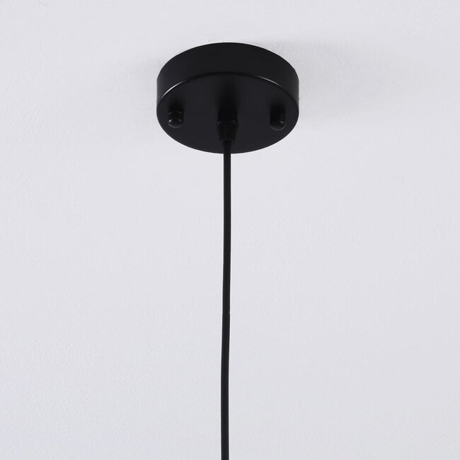 1-light Trinidad pendant lamp with smoked glass - variant 1