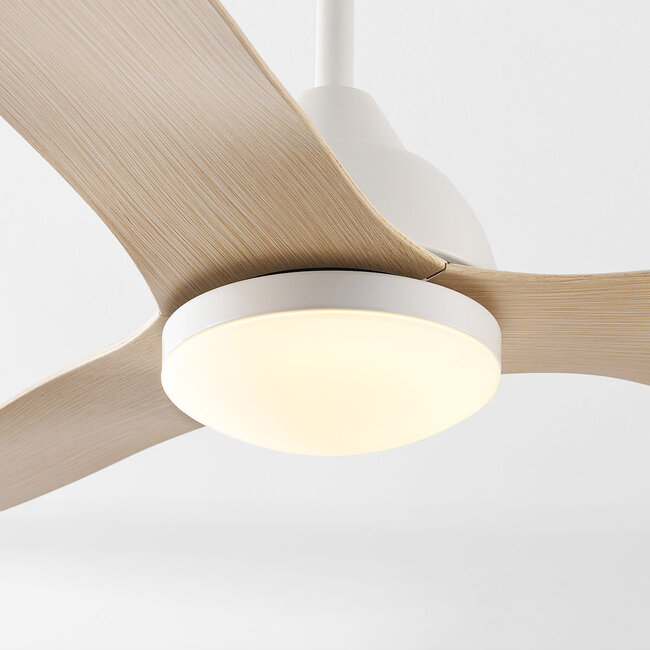 Oiseau ceiling fan with dimmable LEDs and light wood blades - Wood effect