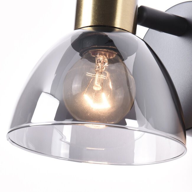 Wall spotlight Kyron - smoked glass and brass gold, adjustable