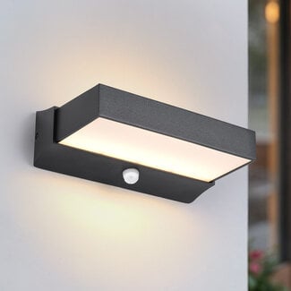 Onyx outdoor wall light with sensor - black