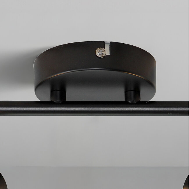 Ceiling lights black with transparent glass, 2-light - Jenthe