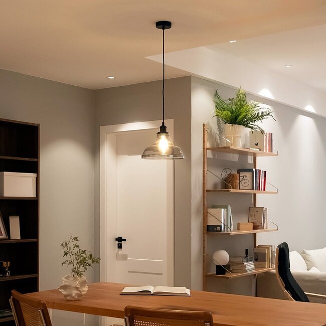 Rustic pendant lamp with smoked glass, 1-light - Ebbe