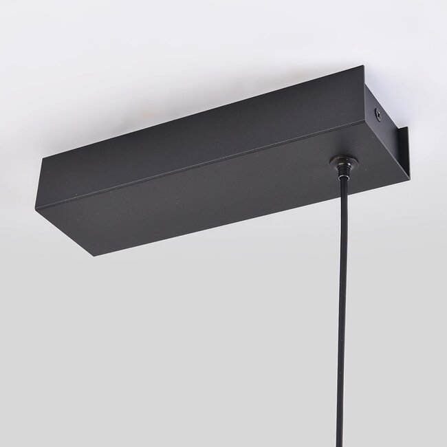 pendant light Abby - black with integrated LED and adjustable wattage