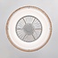 Ceiling fan Cakir with LED - light brown bamboo shade