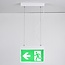 Surface-mounted emergency lighting, ceiling mount with pendant