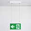 Emergency lighting surface-mounted, ceiling-mounted with pendant