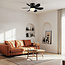 Black ceiling fan with dimmable LEDs and adjustable colour temperature - Swift