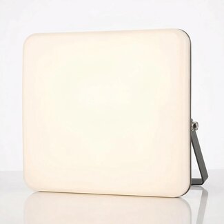 LED Floodlight with adjustable colour temperature