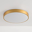 Modern Gorila gold ceiling light with 3-step dimmable LEDs