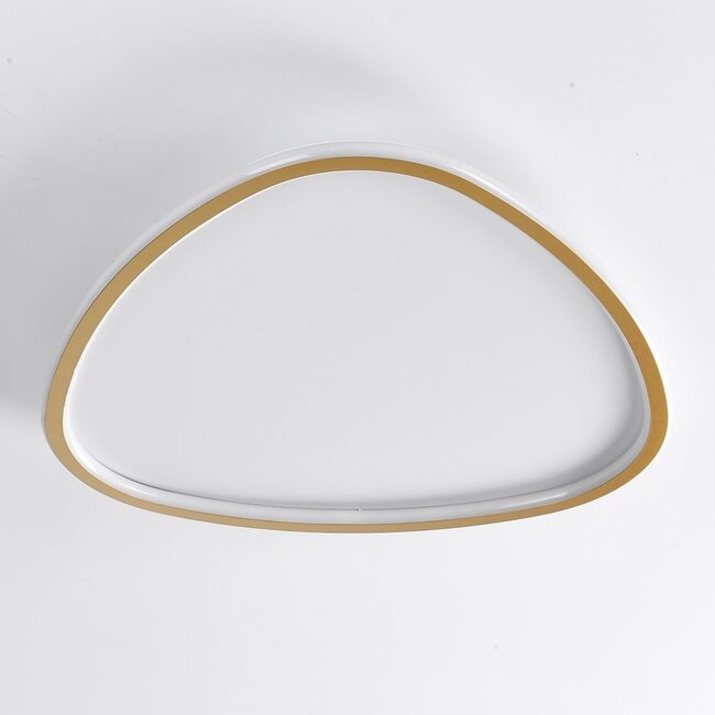 Ceiling light Rory with dimmable LEDs