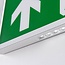 Surface-mounted emergency lighting - LX006