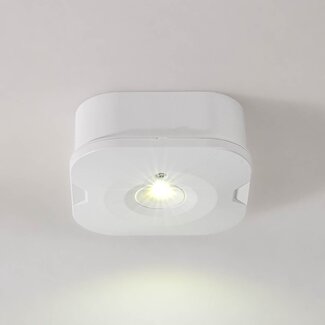 Surface-mounted square emergency lighting spotlight - LX008