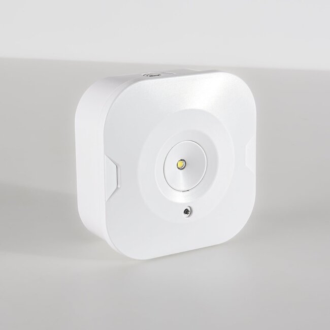 Surface-mounted square emergency lighting spotlight - LX008