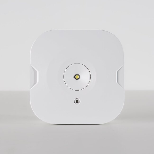 Surface-mounted square emergency lighting spotlight - LX008