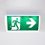 Surface-mounted emergency lighting OTG-EF-6