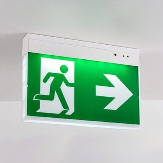 Surface mounted emergency light LXL-MF-3